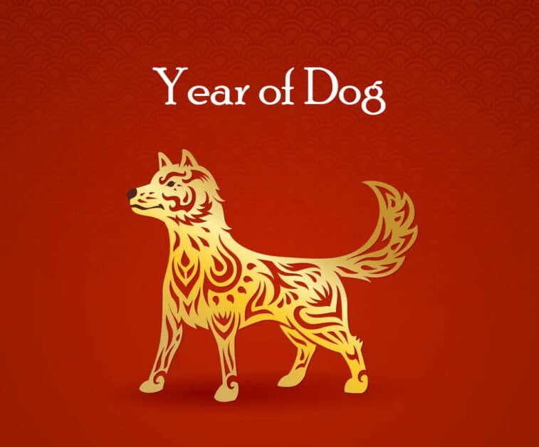 year of dog