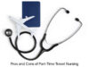 Pros and Cons of Part-Time Travel Nursing