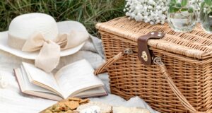 Nortern Virginia Picnic