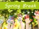 Painted hands with a sign saying "Spring Break"